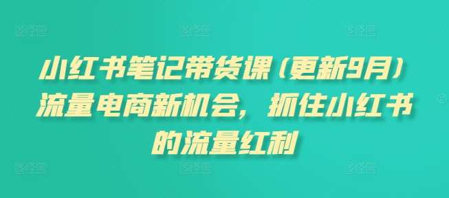 小红书笔记带货课(更新9月)流量电商新机会，抓住小红书的流量红利-赛德副业库