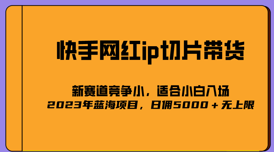 2023爆火的快手网红IP切片，号称日佣5000＋的蓝海项目，二驴的独家授权-赛德副业库