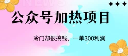 冷门公众号加热项目，一单利润300+-赛德副业库