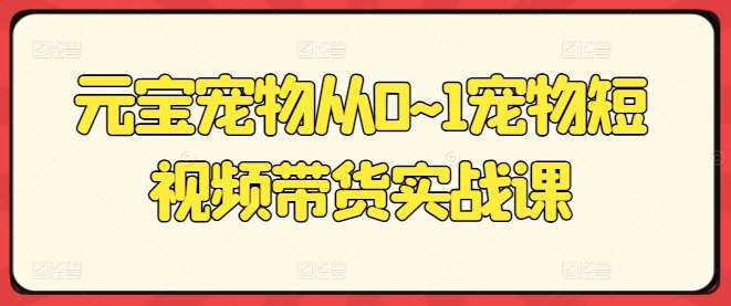 元宝宠物从0~1宠物短视频带货实战课-赛德副业库