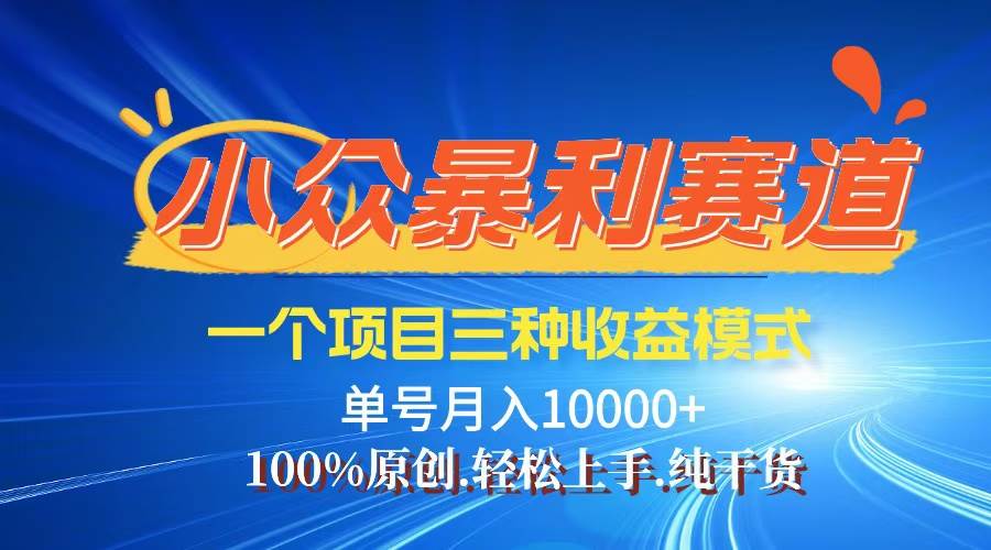 (12579期)【老人言】-视频号爆火赛道,三种变现方式,0粉新号调调爆款-赛德副业库