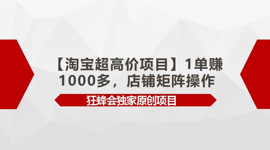 （9849期）【淘宝超高价项目】1单赚1000多，店铺矩阵操作-赛德副业库