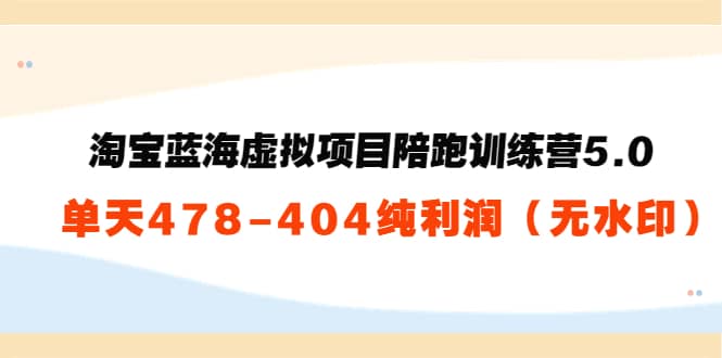 淘宝蓝海虚拟项目陪跑训练营5.0：单天478纯利润（无水印）-赛德副业库