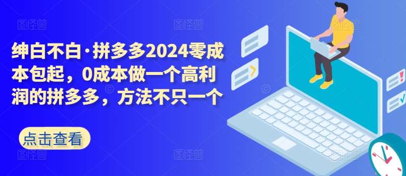 拼多多2024零成本包起，0成本做一个高利润的拼多多，方法不只一个-赛德副业库
