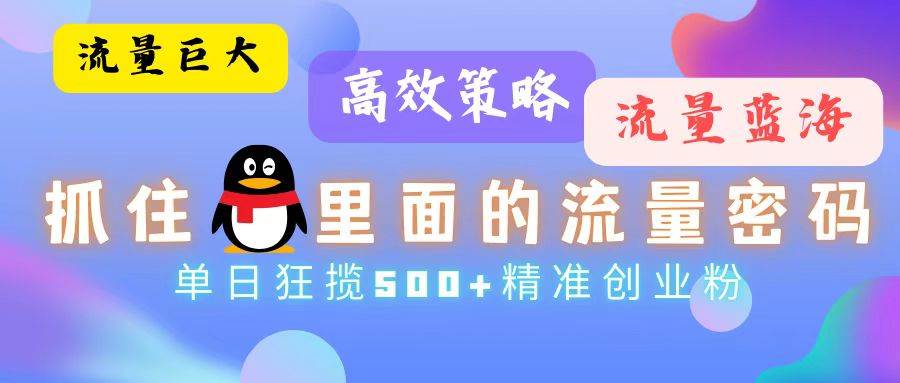 （13068期）流量蓝海，抓住QQ里面的流量密码！高效策略，单日狂揽500+精准创业粉-赛德副业库