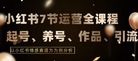 7节小红书运营实战全教程，结合最新情感赛道，打通小红书运营全流程【揭秘】-赛德副业库