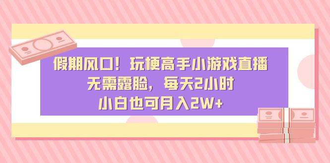 （8769期）假期风口！玩梗高手小游戏直播，无需露脸，每天2小时，小白也可月入2W+-赛德副业库