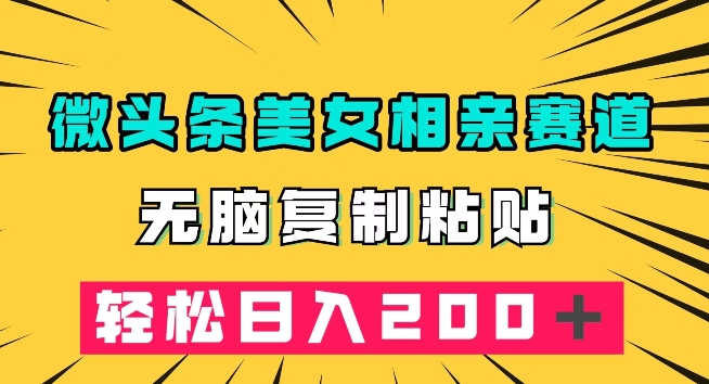 微头条冷门美女相亲赛道，无脑复制粘贴，轻松日入200＋【揭秘】-赛德副业库