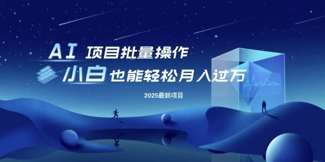 25年最新项目批量操作，小白也能轻松月入过W，可无限放大【揭秘】-赛德副业库