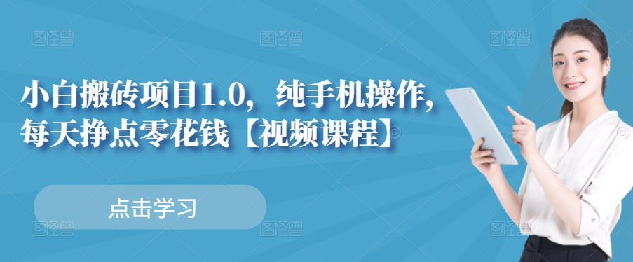 小白搬砖项目1.0，纯手机操作，每天兼职挣点零花钱-赛德副业库