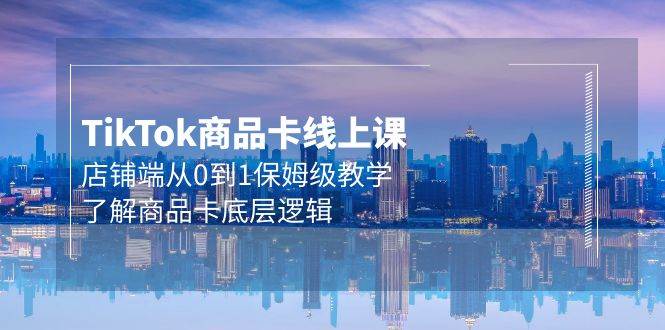 (9843期)Tk商品卡线上课,店铺端从0到1保姆级教学,了解商品卡底层逻辑(20节)-赛德副业库