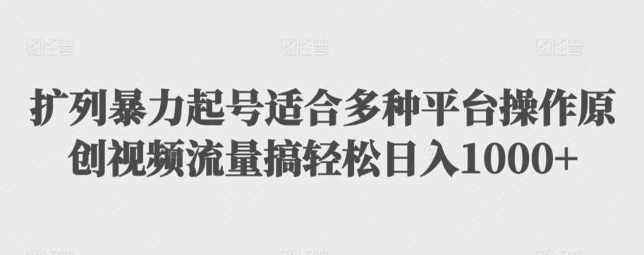 扩列暴力起号适合多种平台操作原创视频流量搞轻松日入1000+【揭秘】-赛德副业库