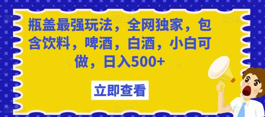 瓶盖最强玩法，全网独家，包含饮料，啤酒，白酒，小白可做，日入500+【揭秘】-赛德副业库