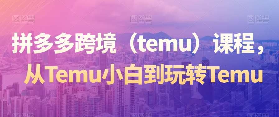 拼多多跨境（temu）课程，从Temu小白到玩转Temu-赛德副业库