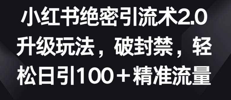 小红书绝密引流术2.0升级玩法,破封禁,轻松日引100+精准流量【揭秘】-赛德副业库