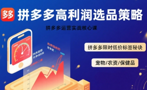 拼多多选品暴利技术实战课,拼多多高利润选品策略,拼多多限时低价标签秘诀-赛德副业库