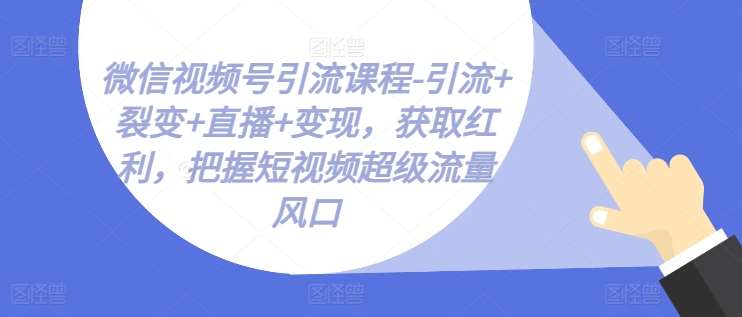 微信视频号引流课程-引流+裂变+直播+变现，获取红利，把握短视频超级流量风口-赛德副业库