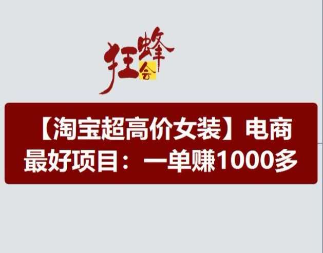 淘宝超高价女装项目，电商最好赛道，一单赚1000多-赛德副业库