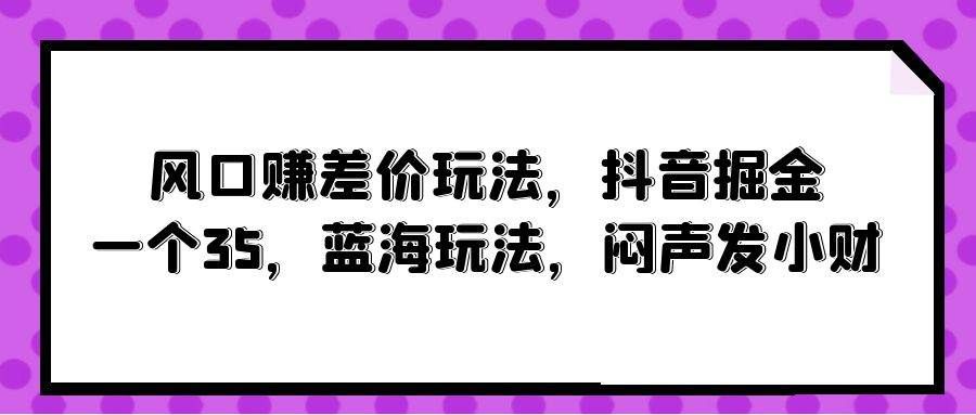（10022期）风口赚差价玩法，抖音掘金，一个35，蓝海玩法，闷声发小财-赛德副业库