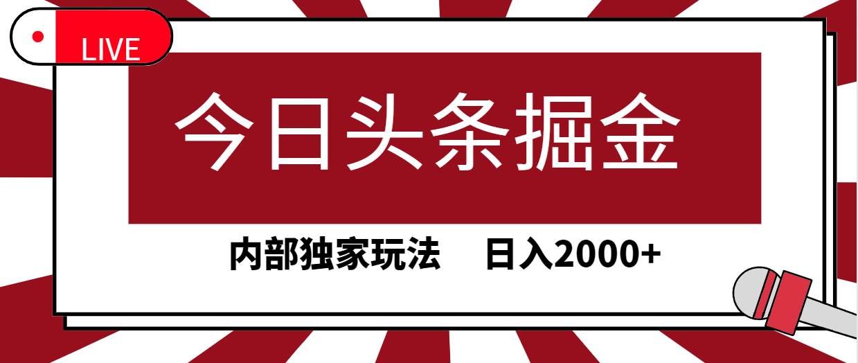 （9832期）今日头条掘金，30秒一篇文章，内部独家玩法，日入2000+-赛德副业库