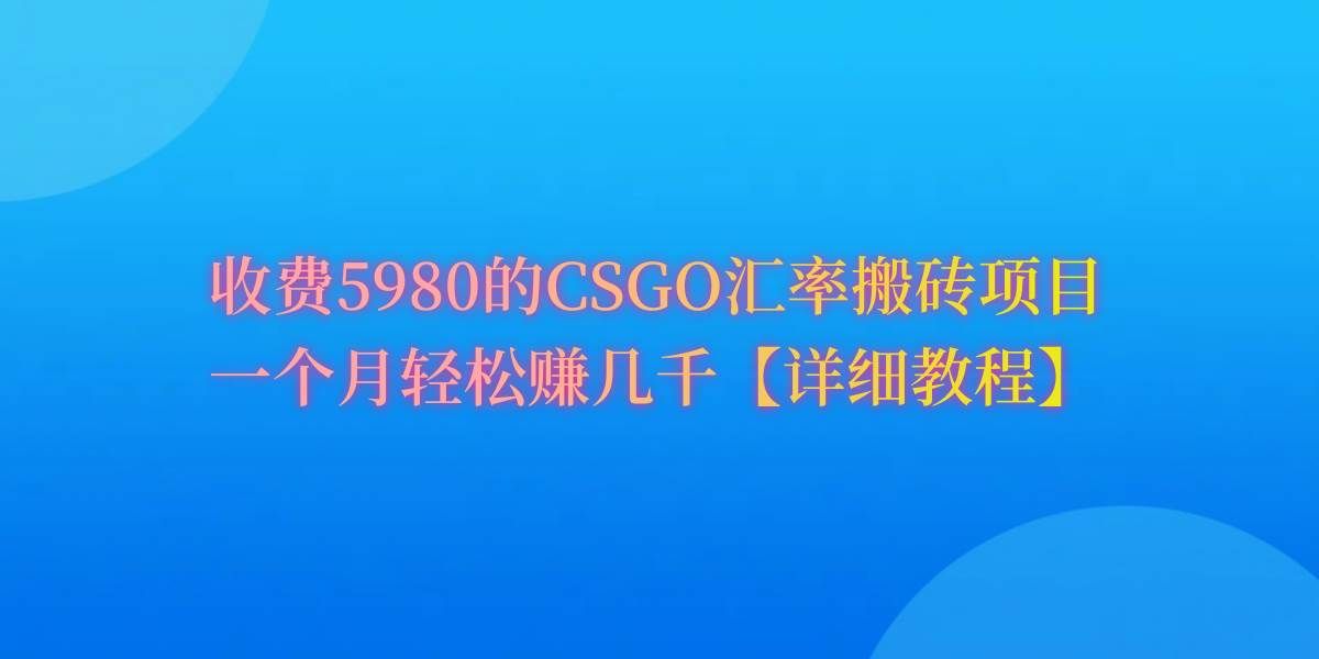 （9776期）CSGO装备搬砖，月综合收益率高达60%，你也可以！-赛德副业库