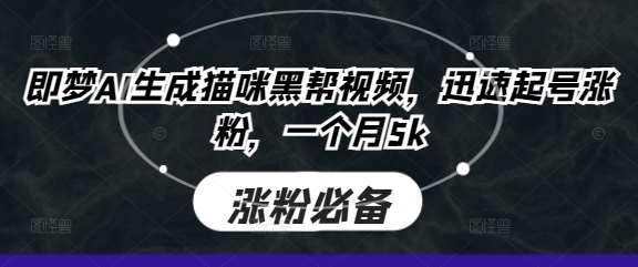 即梦AI生成猫咪黑帮视频，迅速起号涨粉，一个月5k-赛德副业库