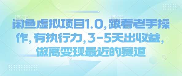 闲鱼虚拟项目1.0，跟着老手操作，有执行力，3-5天出收益，做离变现最近的赛道-赛德副业库