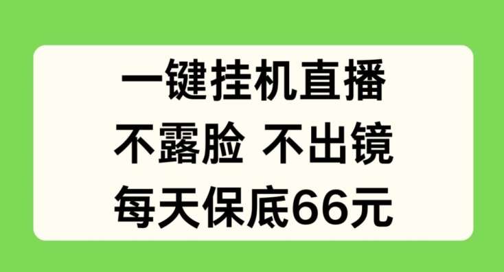 一键挂JI直播,不露脸不出境,每天保底66元【揭秘】-赛德副业库