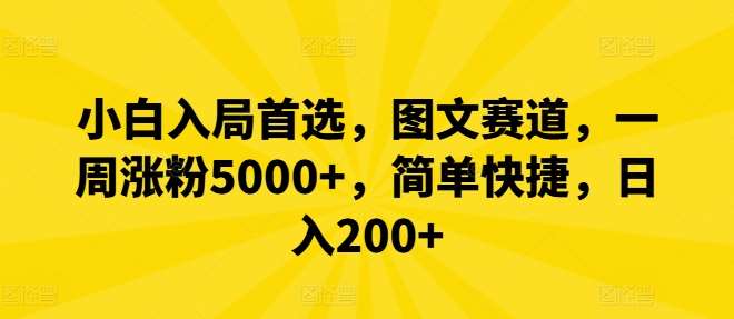 小白入局首选，图文赛道，一周涨粉5000+，简单快捷，日入200+-赛德副业库