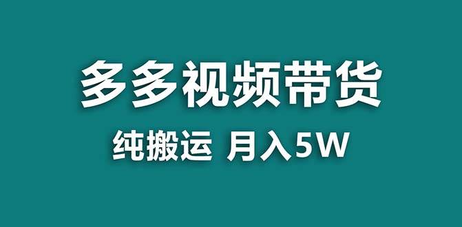 （8491期）【蓝海项目】拼多多视频带货 纯搬运一个月搞了5w佣金，小白也能操作 送工具-赛德副业库