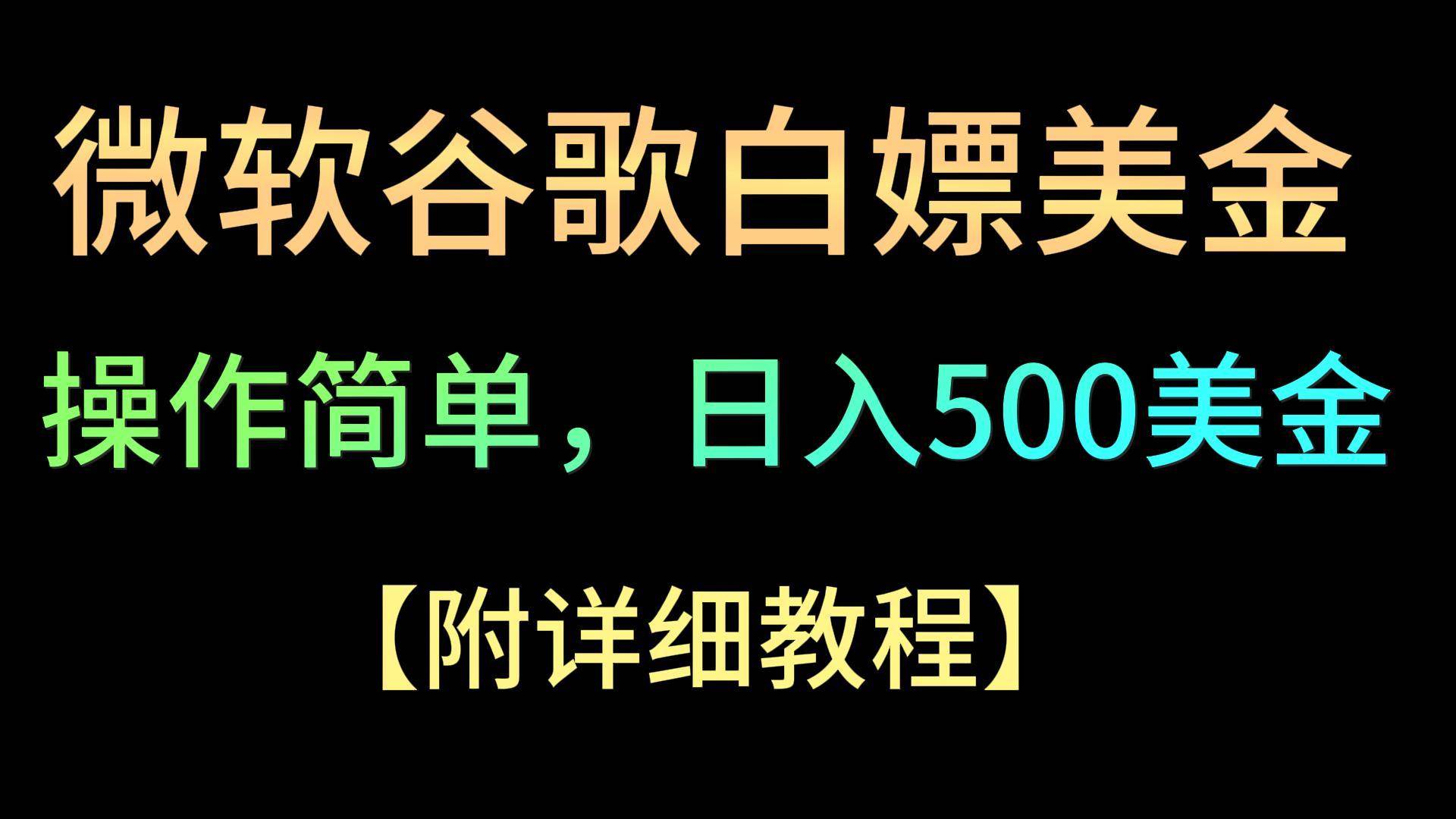 微软谷歌项目3.0，轻松日赚500+美金，操作简单，小白也可轻松入手！-赛德副业库