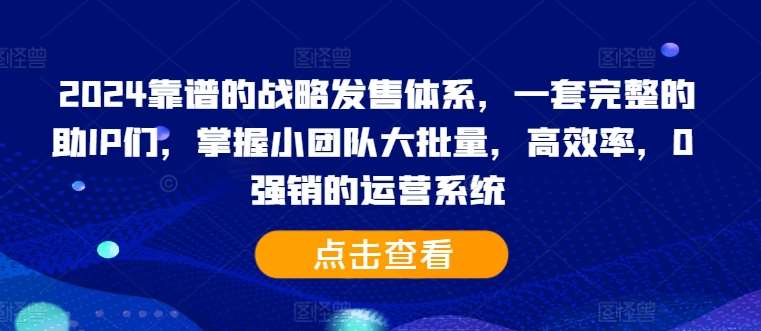 2024靠谱的战略发售体系,一套完整的助IP们,掌握小团队大批量,高效率,0 强销的运营系统-赛德副业库