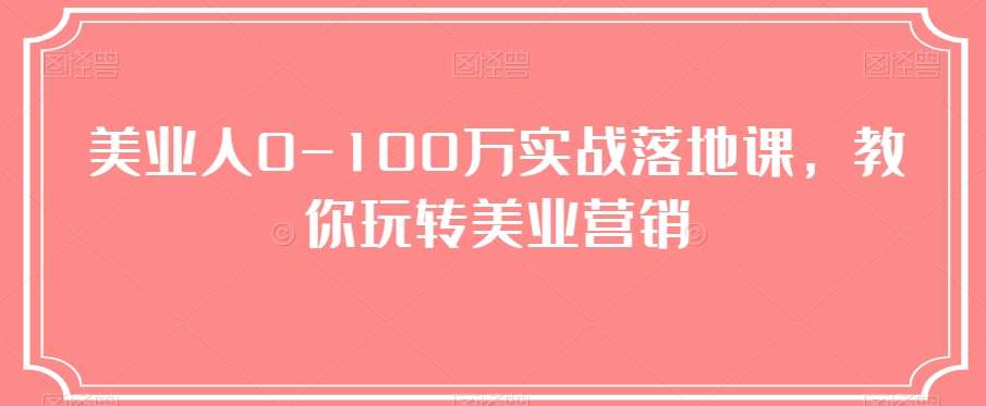 美业人0-100万实战落地课，教你玩转美业营销-赛德副业库