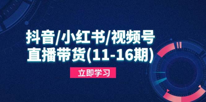（14611期）抖音/小红书/视频号/直播带货(11-16期)，快速掌握平台规则，打造爆款内容-赛德副业库