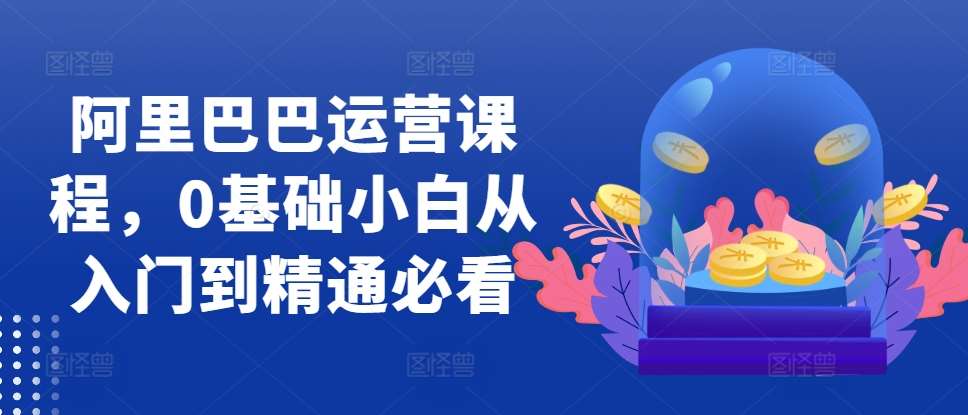 阿里巴巴运营课程，0基础小白从入门到精通必看-赛德副业库