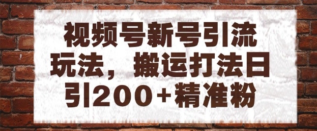 视频号新号引流玩法,搬运打法日引200+精准粉,可矩阵放大【揭秘】-赛德副业库