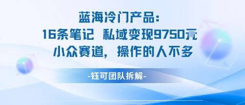 蓝海项目：16条笔记私域变现9750米小众赛道操作的人不多-赛德副业库