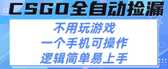 CSGO自动捡漏项目,最新独家玩法,不用挂G不用玩游戏,一个手机即可操作,新手小白轻松月入1W+【揭秘】-赛德副业库