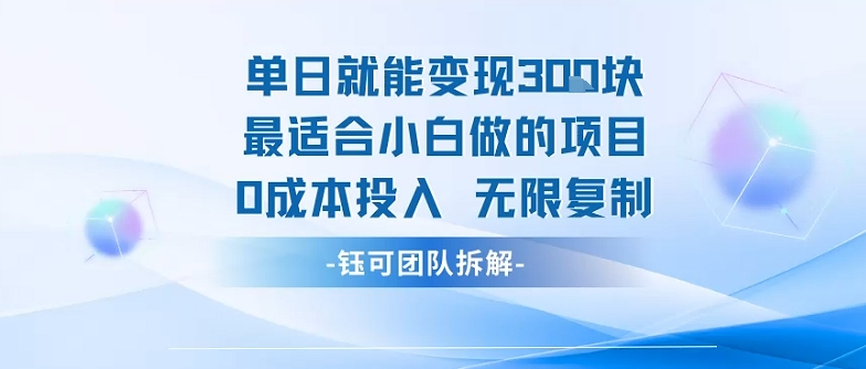 单日就能变现3张最适合小白做的项目0成本投入 无限复制-赛德副业库