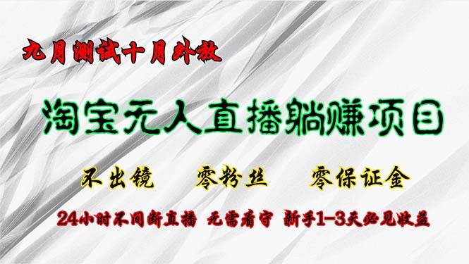 （12862期）淘宝无人直播最新玩法，九月测试十月外放，不出镜零粉丝零保证金，24小…-赛德副业库