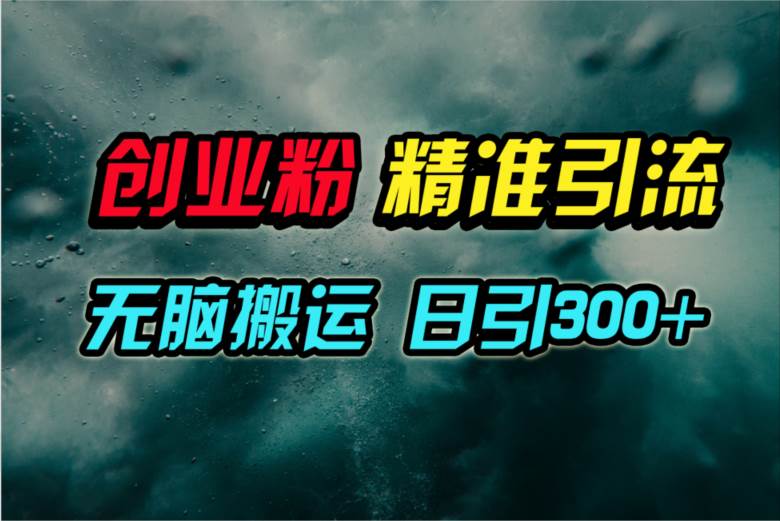 （9875期）视频号纯搬运日引300+创业粉教程！-赛德副业库