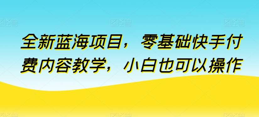 全新蓝海项目，零基础快手付费内容教学，小白也可以操作【揭秘】-赛德副业库