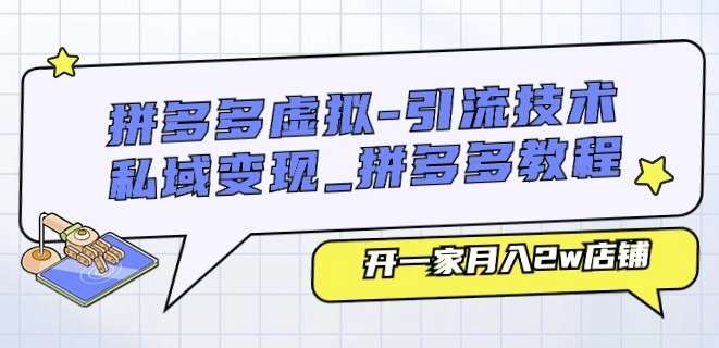 拼多多虚拟-引流技术与私域变现_拼多多教程：开一家月入2w店铺-赛德副业库