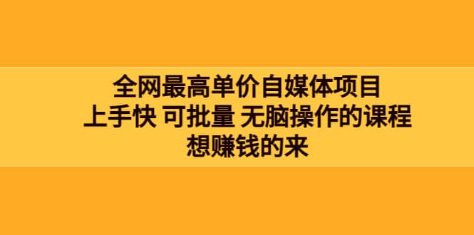 全网最单高价自媒体项目:上手快 可批量 无脑操作的课程,想赚钱的来-赛德副业库