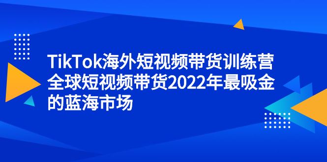 TikTok海外短视频带货训练营，全球短视频带货2022年最吸金的蓝海市场-赛德副业库