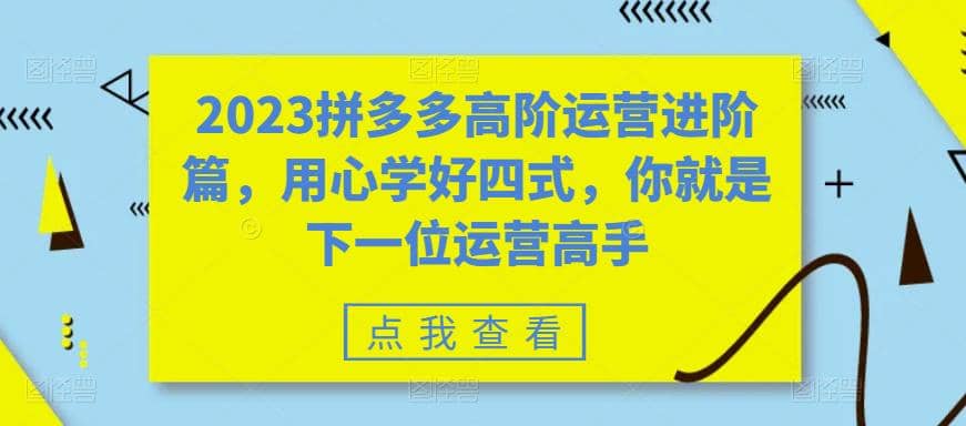 2023拼多多高阶运营进阶篇，用心学好四式，你就是下一位运营高手-赛德副业库