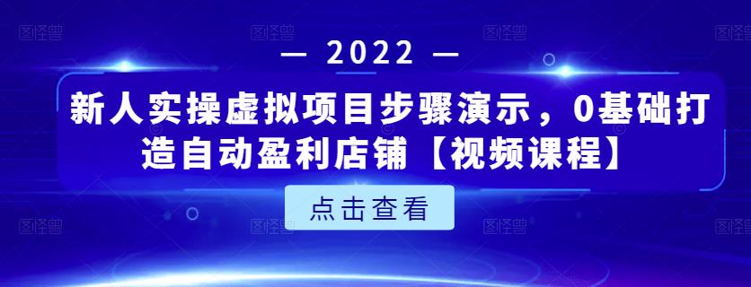 新人实操虚拟项目步骤演示，0基础打造自动盈利店铺【视频课程】-赛德副业库