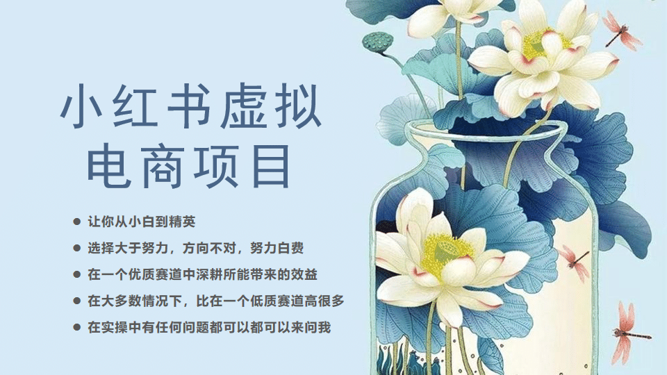 小红书虚拟电商从0到1，让你从小白到精英（20节实操课程）-赛德副业库