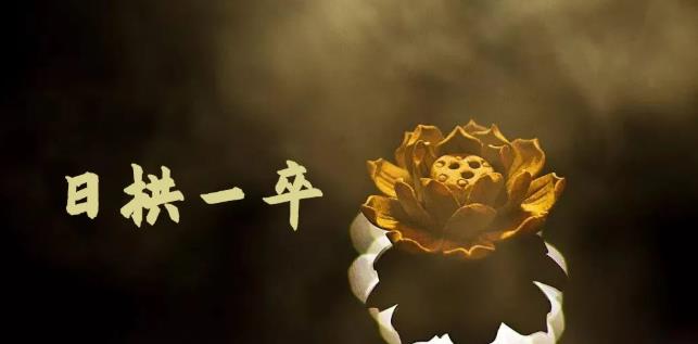 无脑搬砖，普通人可以复制的副业赚钱项目(附软件)-赛德副业库