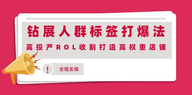 钻展人群标签打爆法，高投产ROL收割打造高权重店铺(全程实操)-赛德副业库